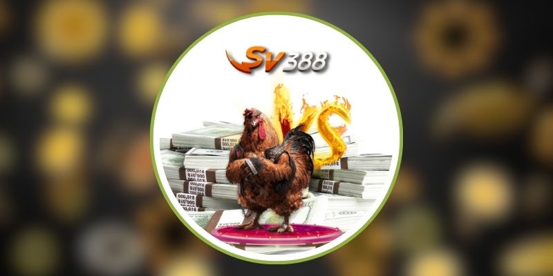 sv388 84 1